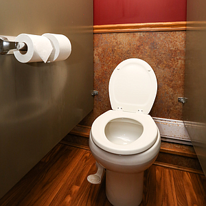 image of flushable toilet