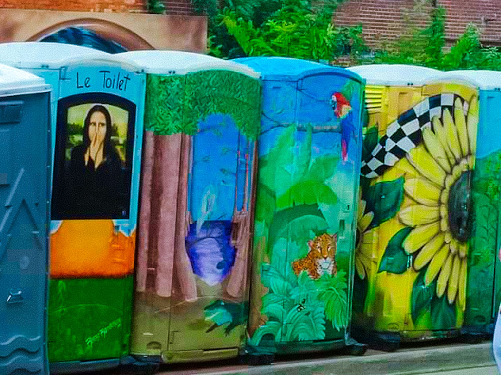 Image of Painted Portable Toilet Rentals